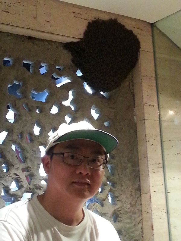 Beehive on top of my head